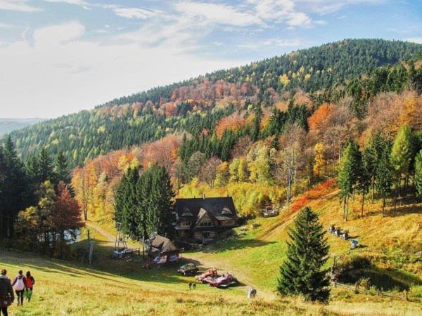 Bukowa Chata Jugów Extérieur photo